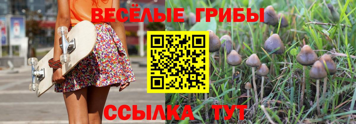 Галлюциногенные грибы прущие грибы  Вход с VPN  Псилоцибиновые грибы прущие грибы  Белебей 